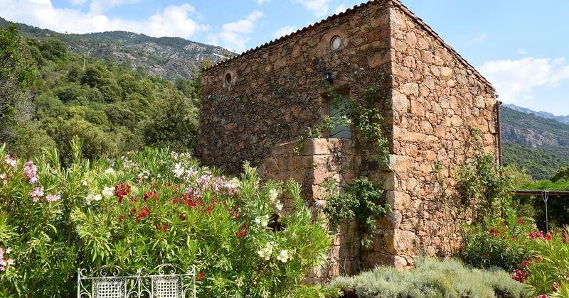 Les 5 erreurs que je vois tous les jours chez les propriétaires corses