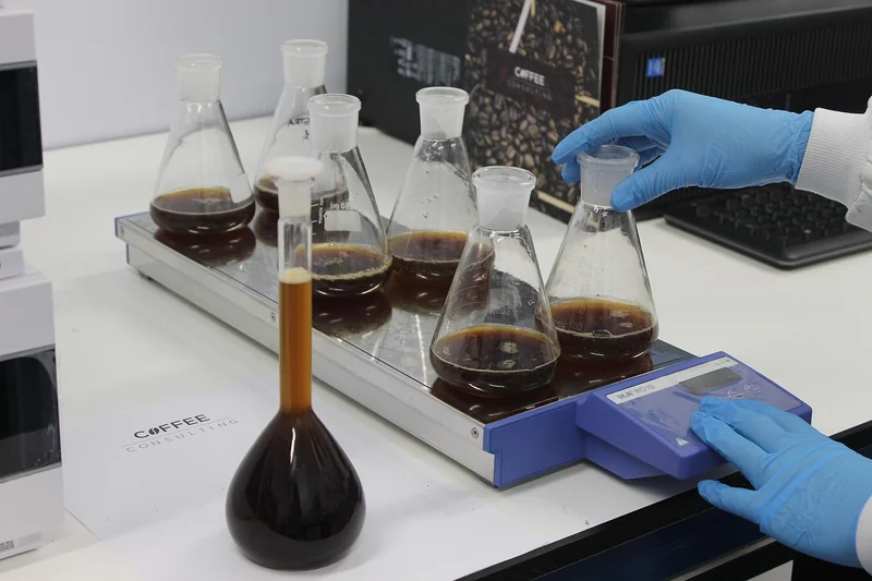 Les domaines où un consultant fait vraiment la différence