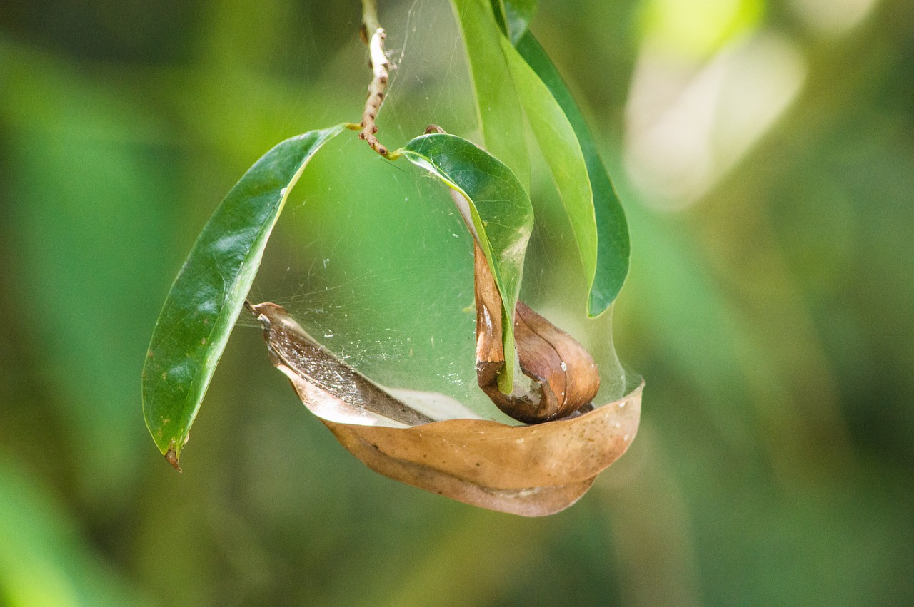 d&eacute;couvrez ce qu'est un bilan comptable, son importance pour analyser la sant&eacute; financi&egrave;re d'une entreprise, et comment l'interpr&eacute;ter efficacement.