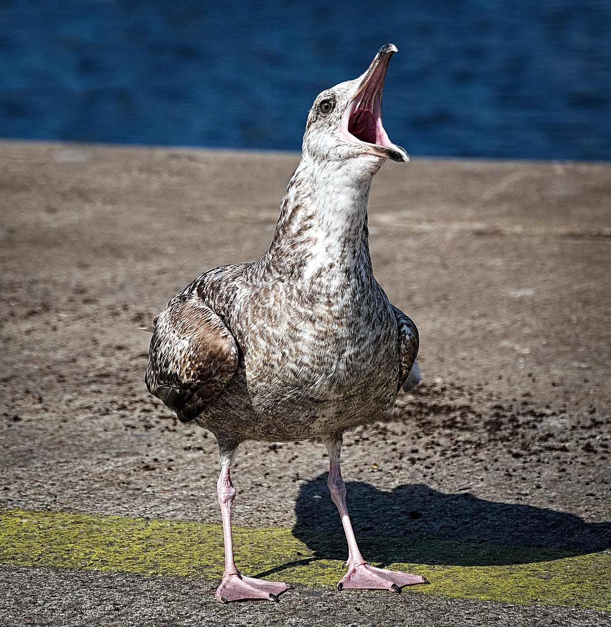 d&eacute;couvrez tout ce qu'il faut savoir sur le compte de r&eacute;sultat (income statement) : d&eacute;finition, importance, composantes cl&eacute;s et comment l'analyser pour &eacute;valuer la performance financi&egrave;re d'une entreprise.